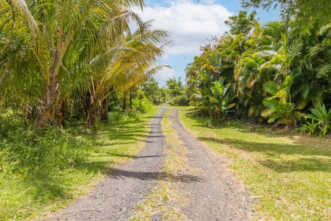 Off-Grid Getaway With Ocean Views In Paradise Pahoa Екстериор снимка