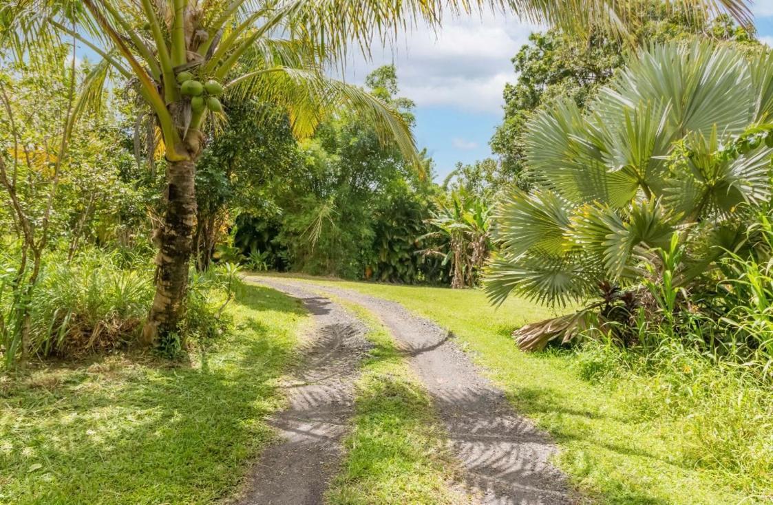 Off-Grid Getaway With Ocean Views In Paradise Pahoa Екстериор снимка