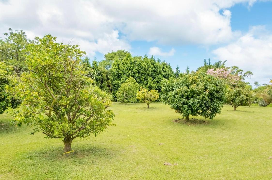 Off-Grid Getaway With Ocean Views In Paradise Pahoa Екстериор снимка