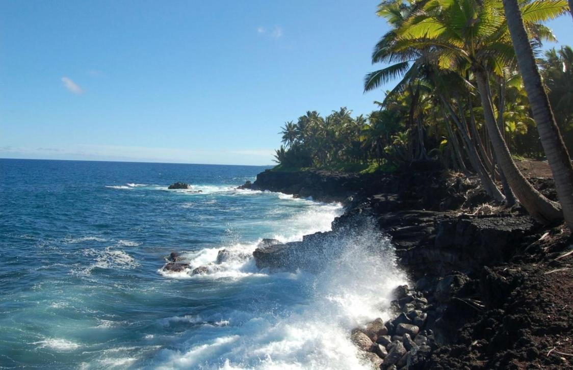 Off-Grid Getaway With Ocean Views In Paradise Pahoa Екстериор снимка