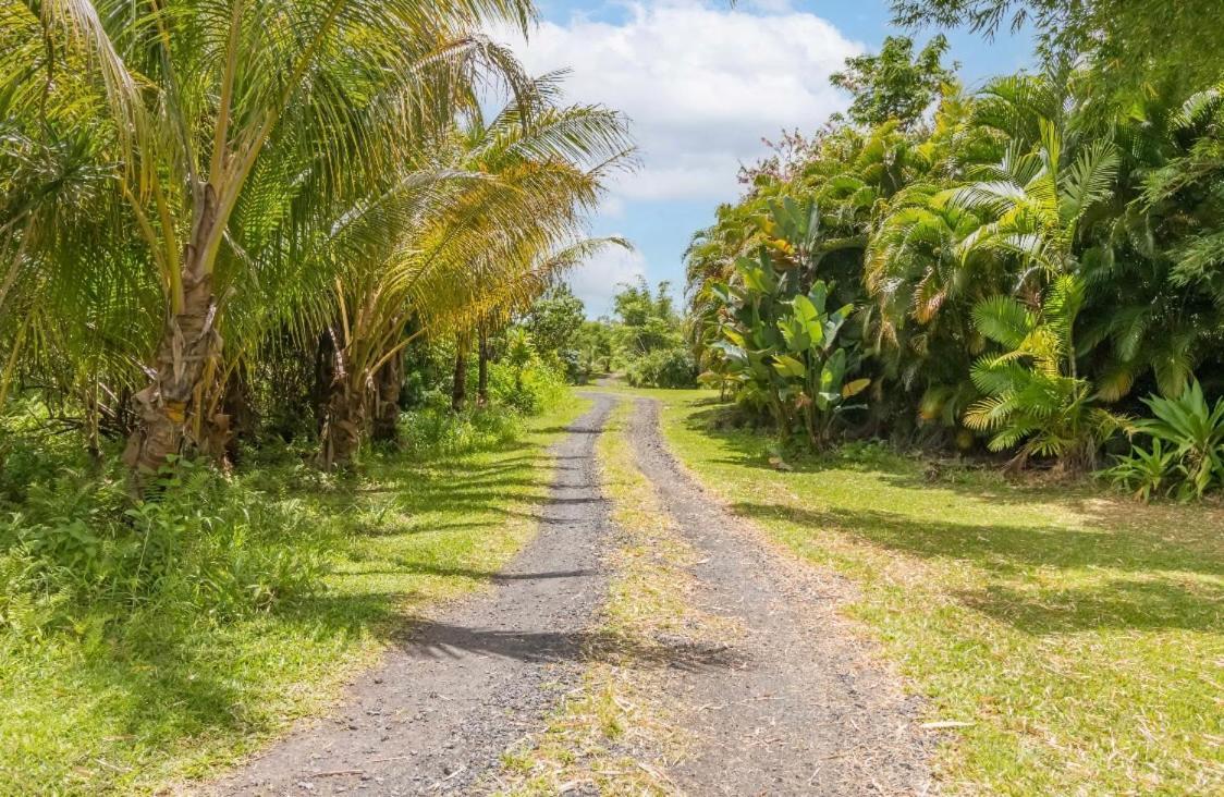 Off-Grid Getaway With Ocean Views In Paradise Pahoa Екстериор снимка